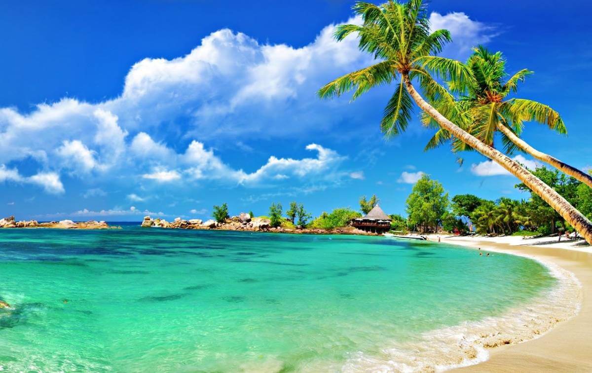 Daily tour CU LAO CHAM ISLAND